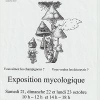 EXPO 2006
