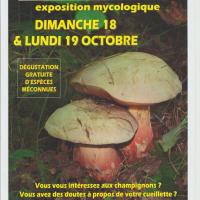 EXPO 2009