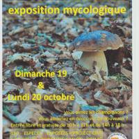 EXPO 2011