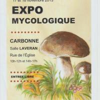 EXPO 2013