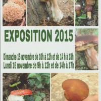 EXPO 2015