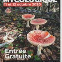 EXPO 2020