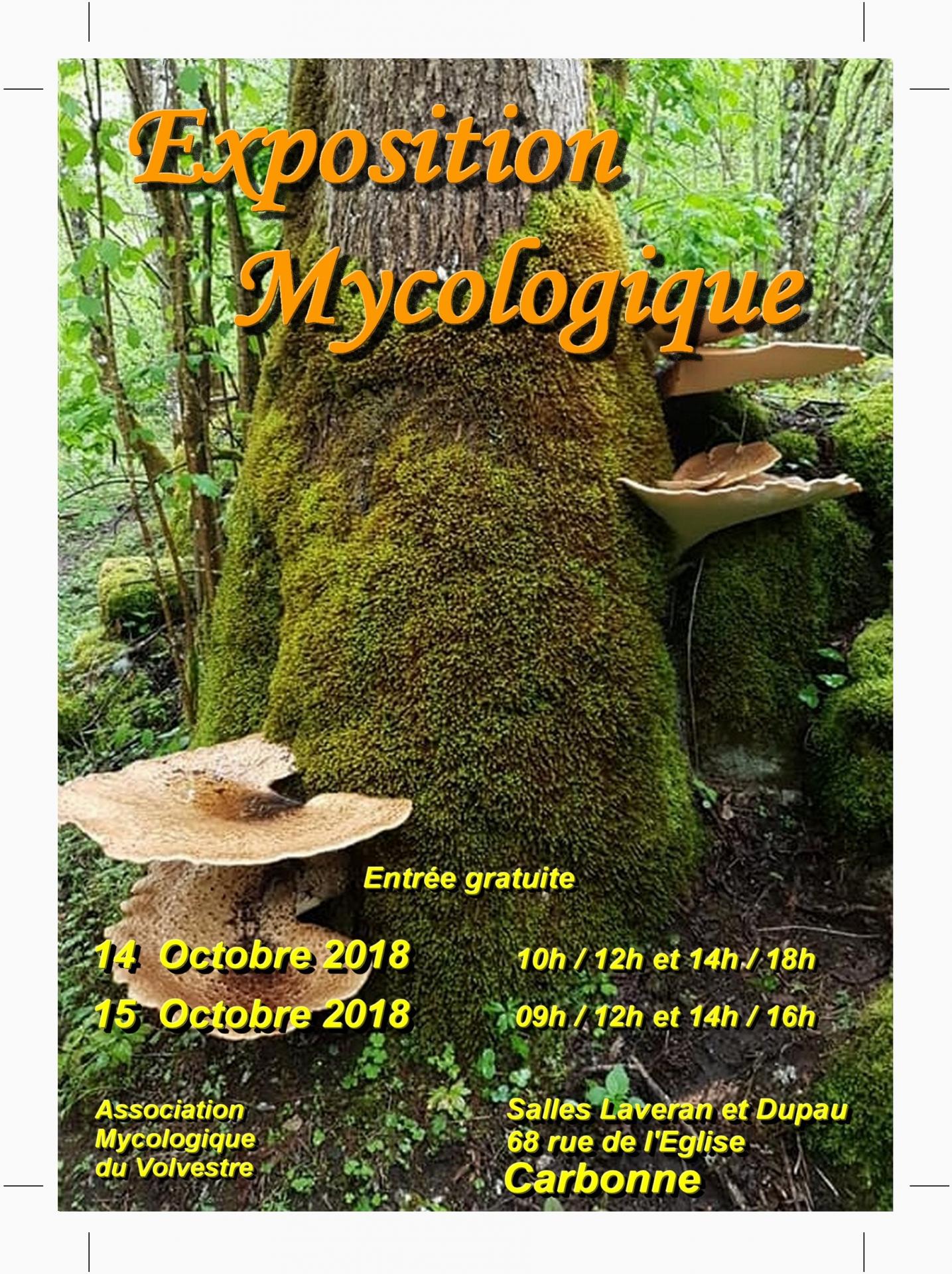 Affiche expo 2018