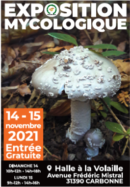 Affiche expo 2021