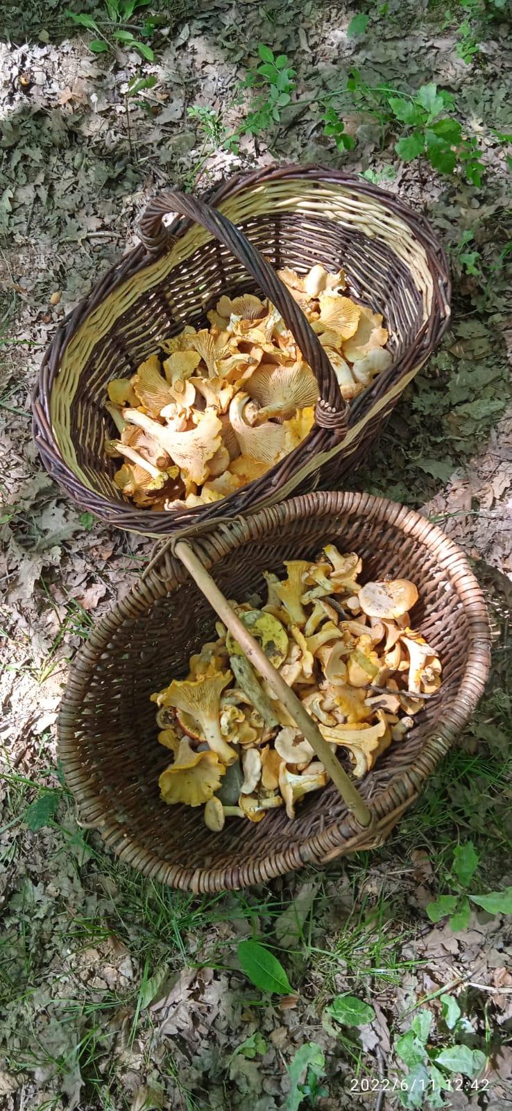 Photo 2022 06 11 12 43 53